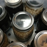 Place jars in pressure canner and can for specified amount of time