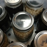 Place jars in pressure canner and can for specified amount of time